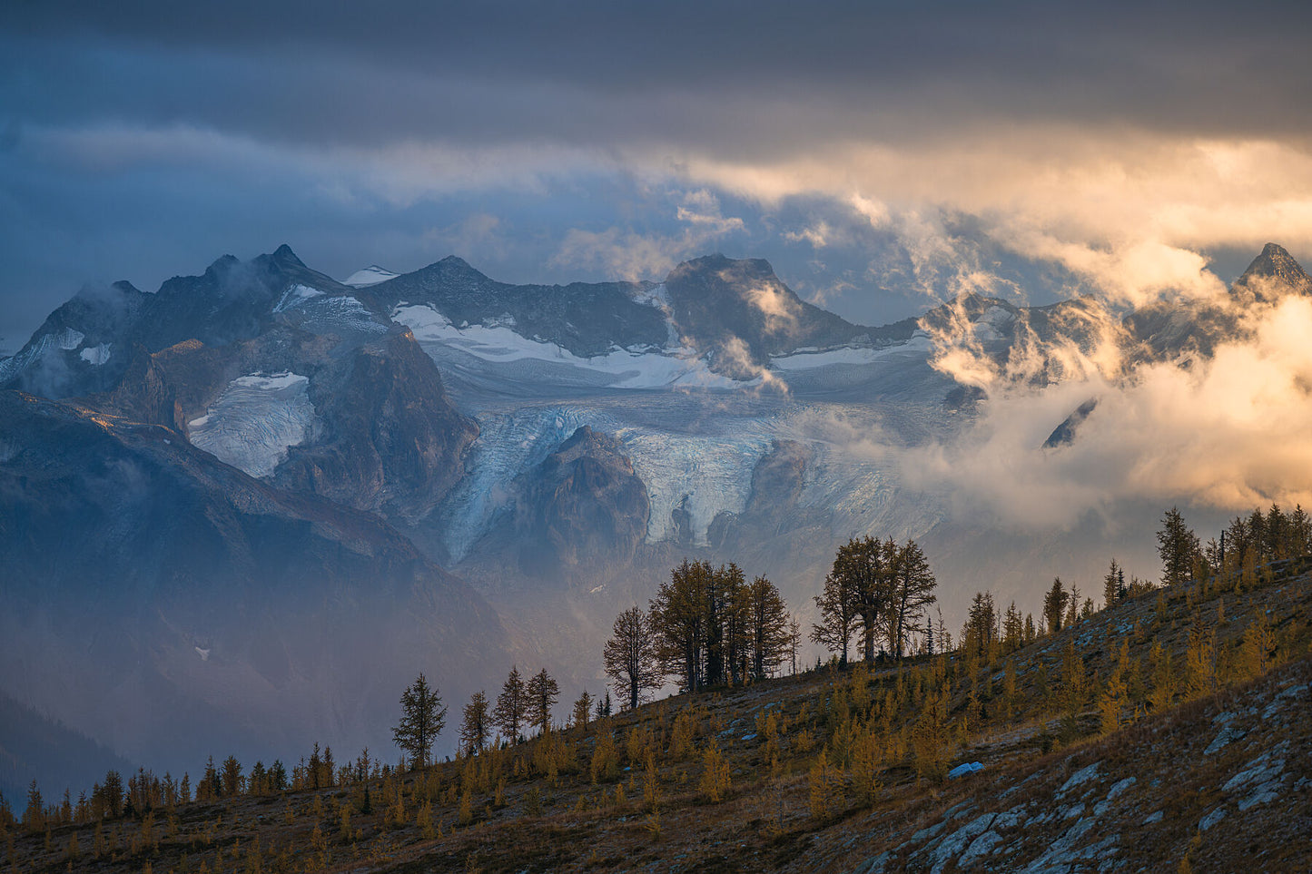 Larch trees at Monica Meadows during the sunset in the autumn season, fine art landscape print from British Columbia’s West Kootenay region by Ashley Voykin