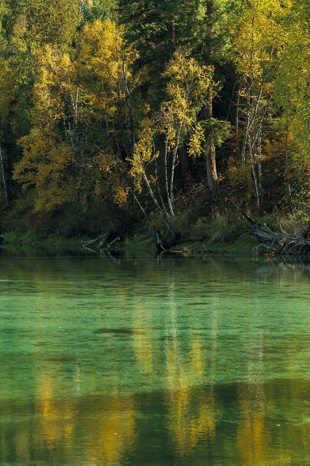 A fall scene on the Slocan River with emerald green waters, near Winlaw in the Slocan Valley, fine art photography by Ashley Voykin.