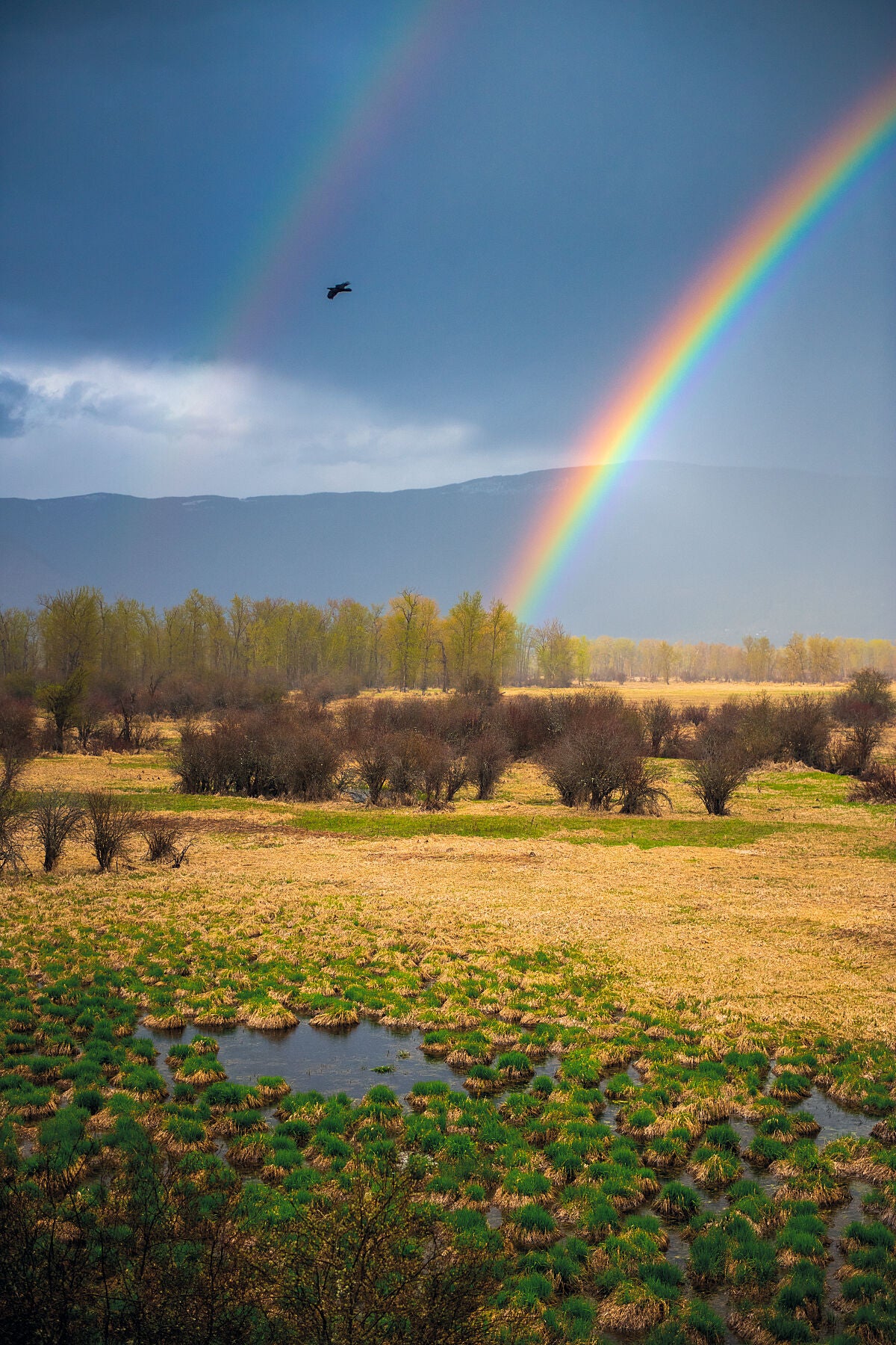 A double rainbow over the Creston Valley Wildlife Center wetlands, captured by photographer Ashley Voykin in the West Kootenays