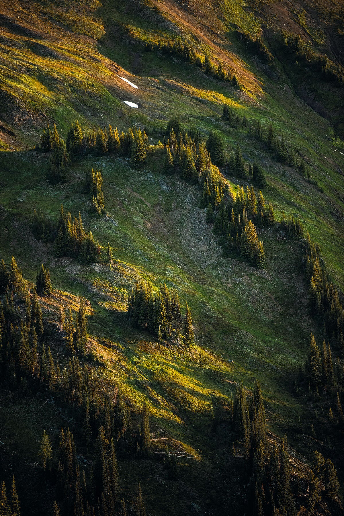 The green slopes of the Goat Range at sunrise, in British Columbia’s Kootenay region, fine art photography by Ashley Voykin.