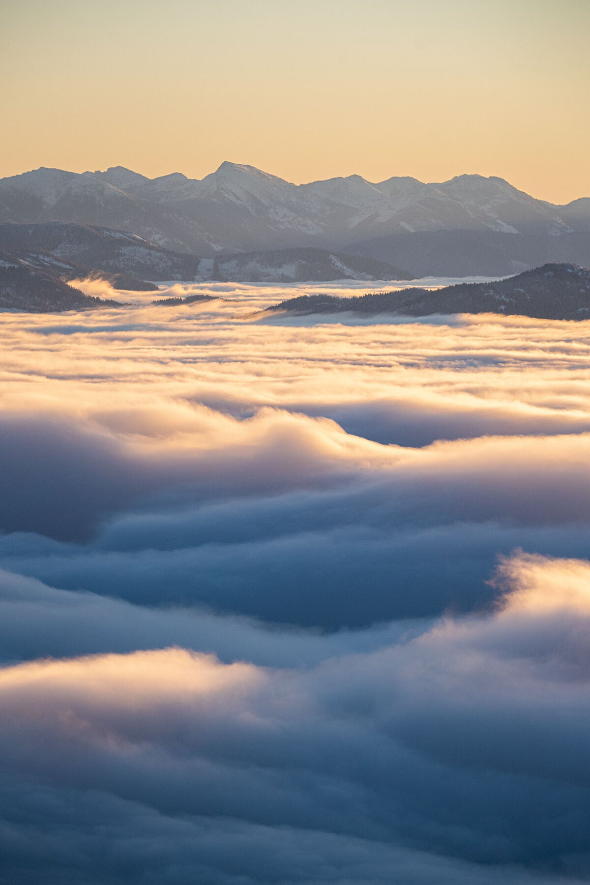 A cloud inversion or Kootenay Sea below the mountain peaks at sunrise, taken from RED Resort, Landscape photography by Ashley Voykin.