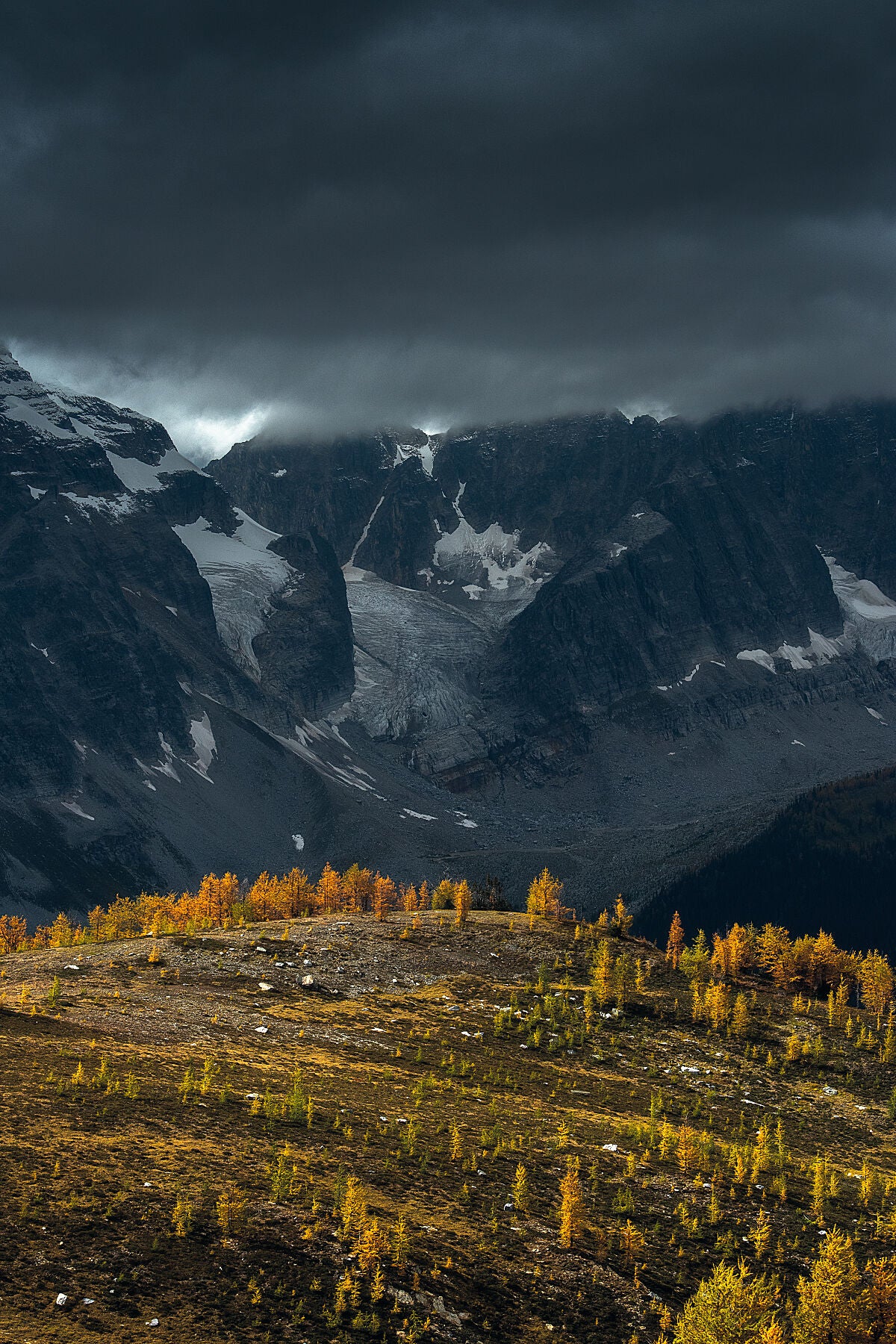 A gloomy day at Monica Meadows during Larch Season, in the Purcell Mountain's of British Columbia, landscape photography by Ashley Voykin.