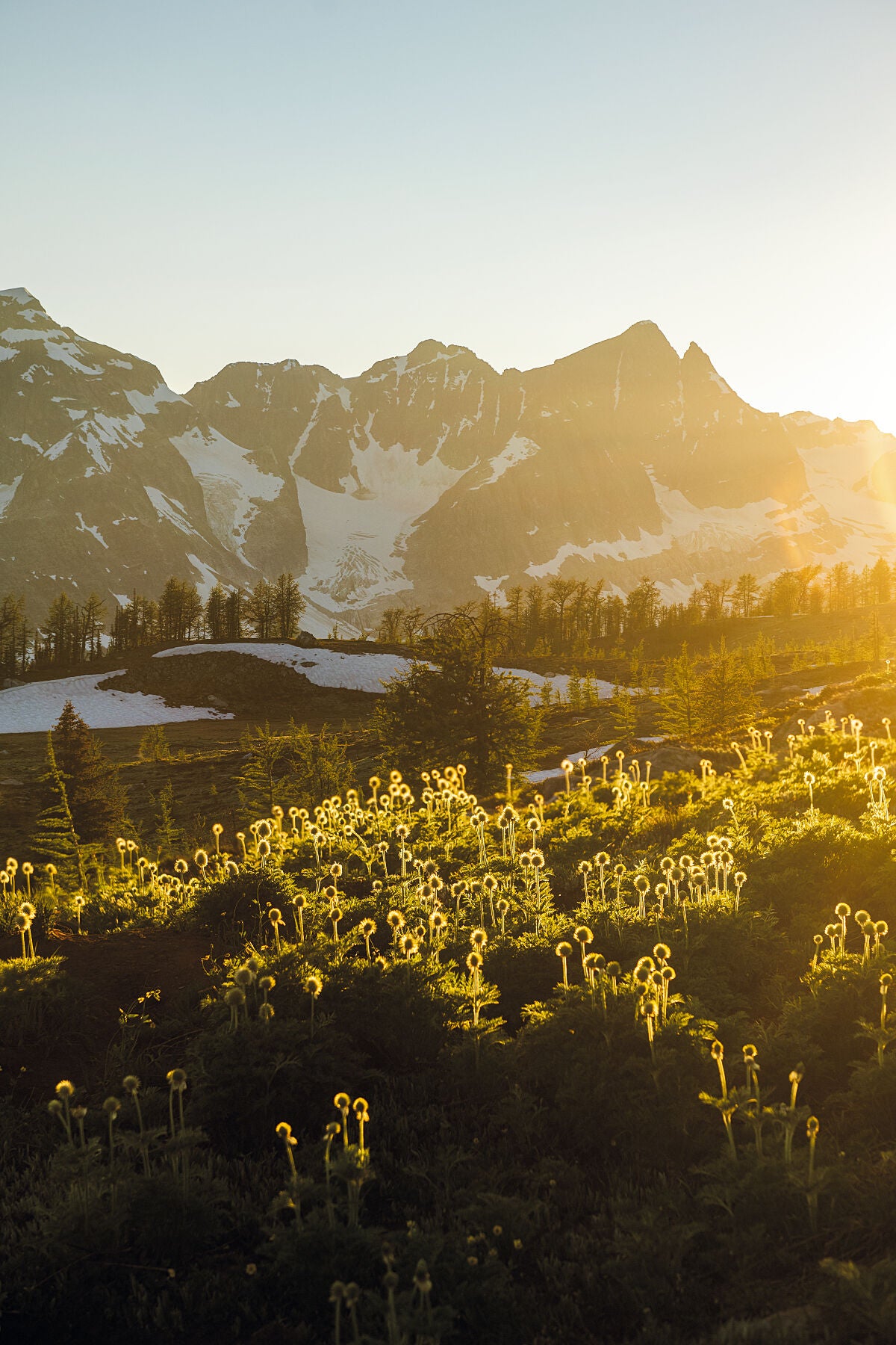A summer sunset in the Purcell Mountains, at Monica Meadows, Kootenay fine art photography by Ashley Voykin