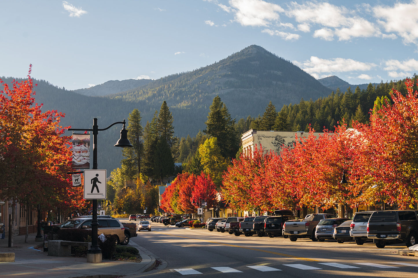 Red maple trees line the downtown street in Rossland, British Columbia, Kootenay fine art photography by Ashley Voykin