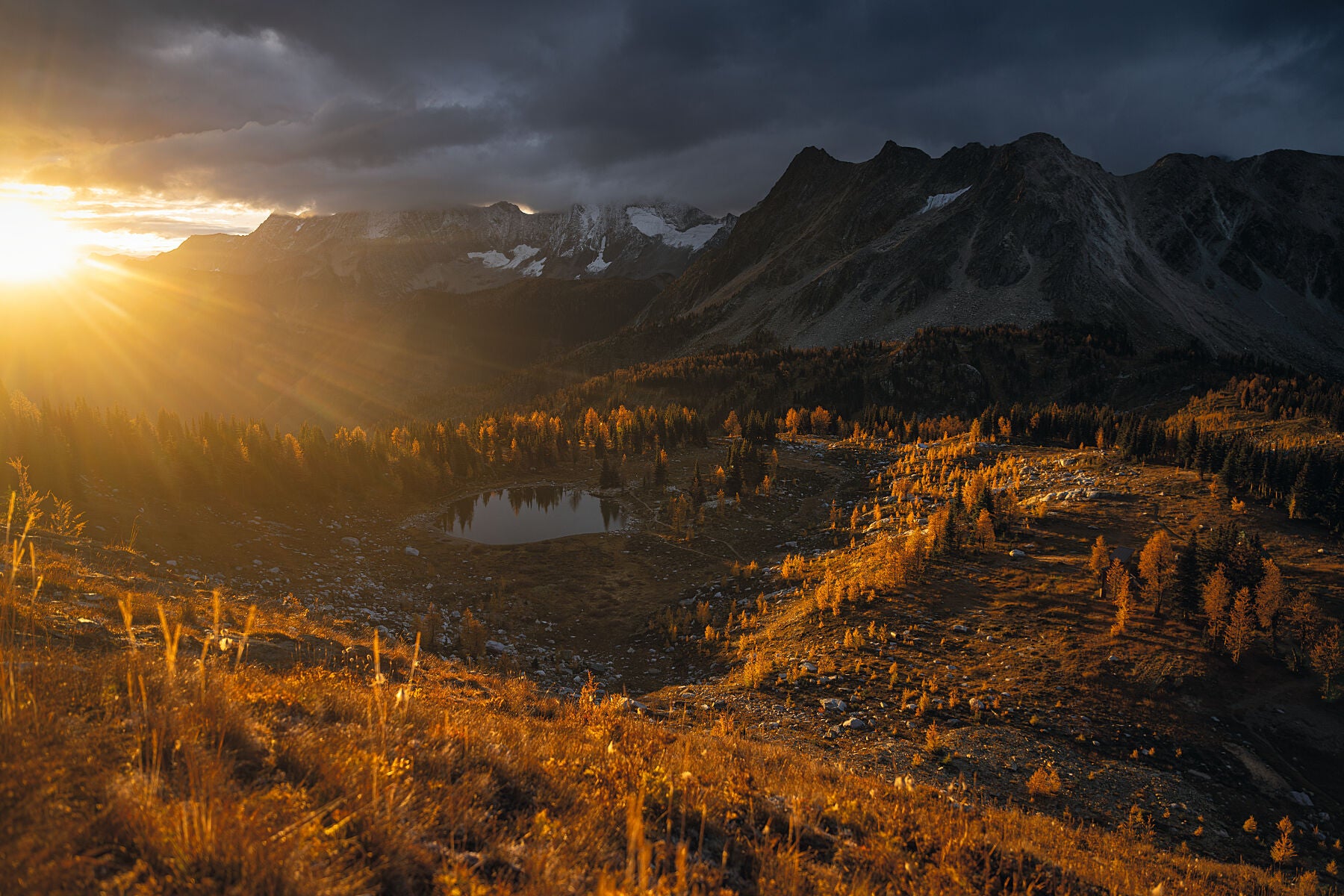 Sunrise over Jumbo Pass and the golden larch trees, fine art landscape print from British Columbia’s West Kootenay region by Ashley Voykin
