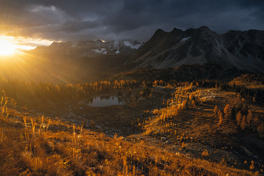Sunrise over Jumbo Pass and the golden larch trees, fine art landscape print from British Columbia’s West Kootenay region by Ashley Voykin