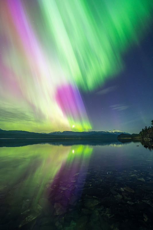 Aurora Borealis dancing over Upper Arrow Lake near Nakusp, British Columbia, astrophotography fine art print by Ashley Voykin