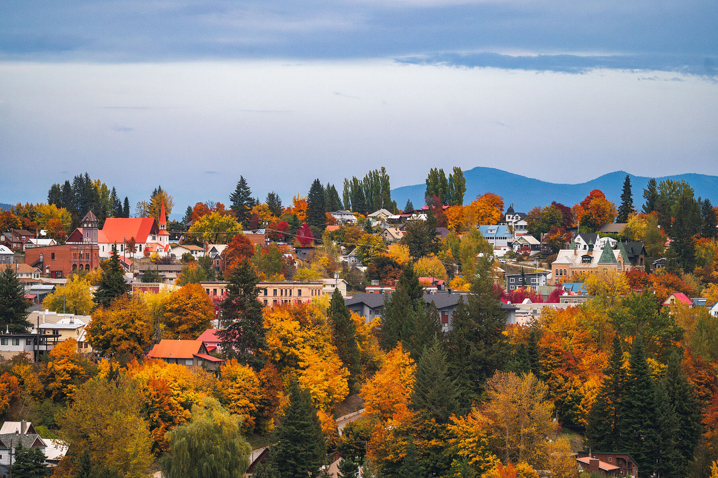 Fall foliage in Rossland, British Columbia. Fine art limited edition print by Ashley Voykin