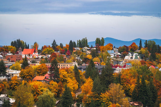 Fall foliage in Rossland, British Columbia. Fine art limited edition print by Ashley Voykin