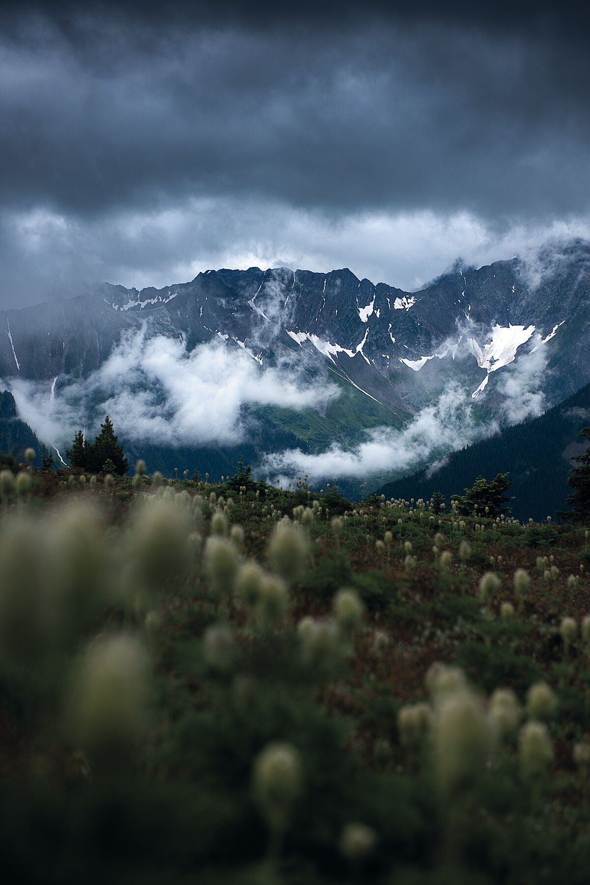 A cloudy day in the Goat Range, and a field of Western Anemone flowers, by landscape photographer Ashley Voykin.