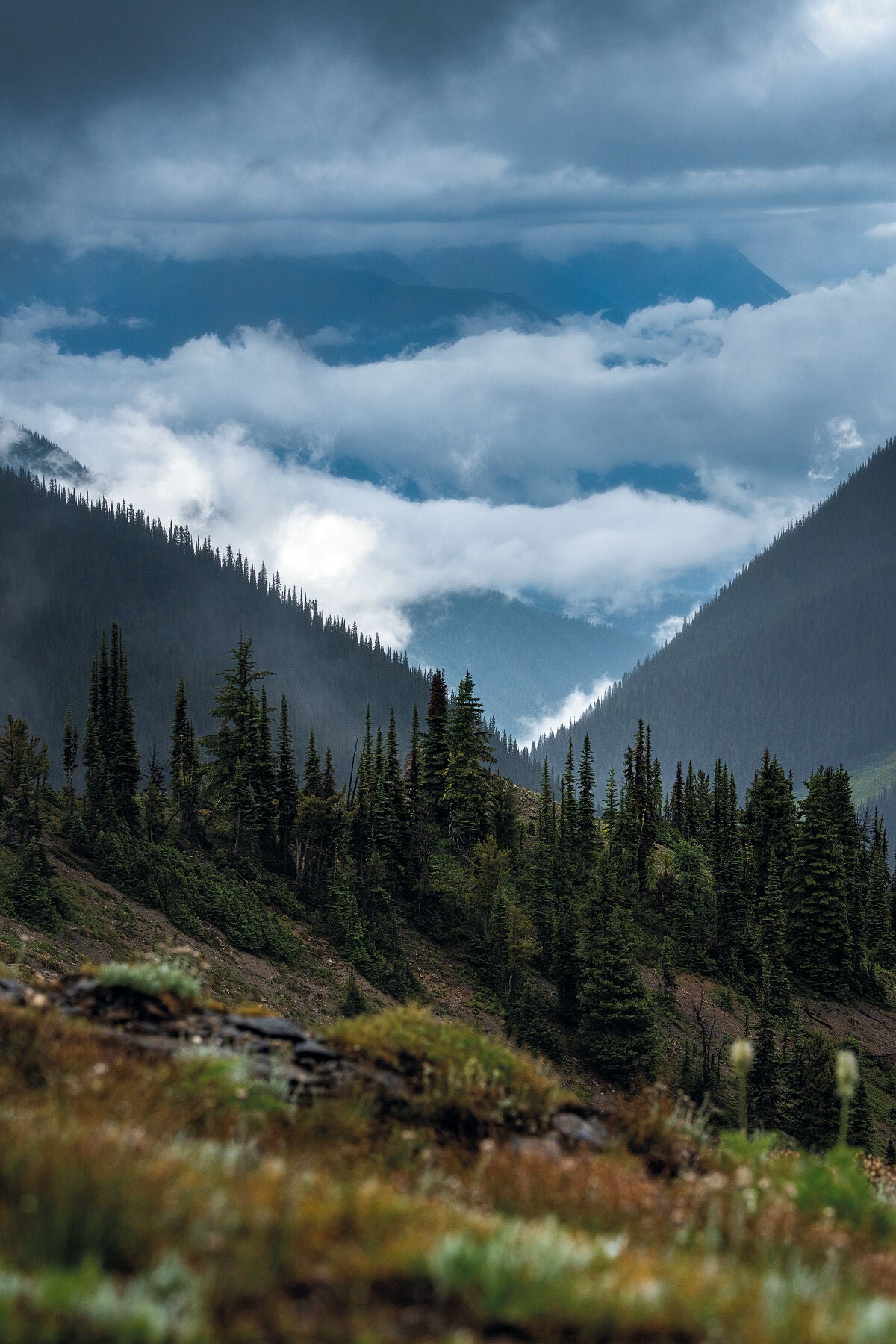 A cloudy day in the Goat Range, looking out towards the Purcell Mountains, landscape photography by West Kootenay based Ashley Voykin.