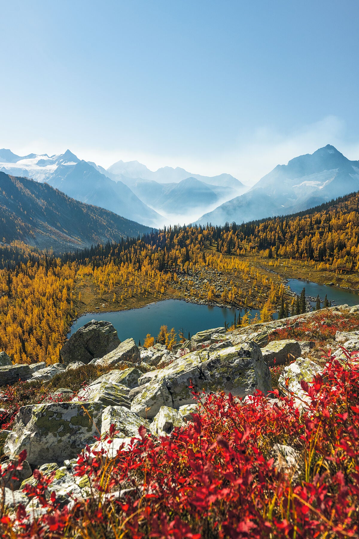 A blue sky day during a colourful fall season at Monica Meadows, in the Purcell Mountains of British Columbia's West Kootenay region, fine art landscape print by Ashley Voykin