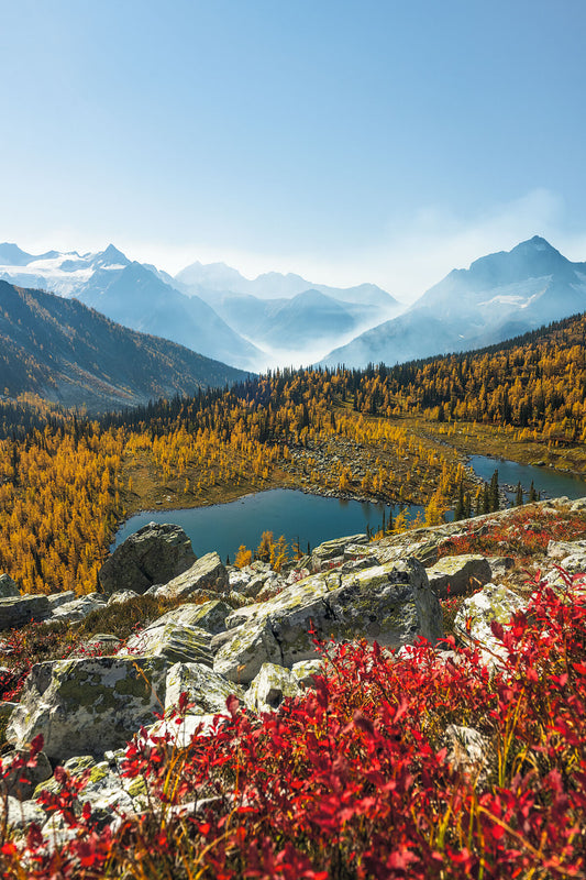 A blue sky day during a colourful fall season at Monica Meadows, in the Purcell Mountains of British Columbia's West Kootenay region, fine art landscape print by Ashley Voykin