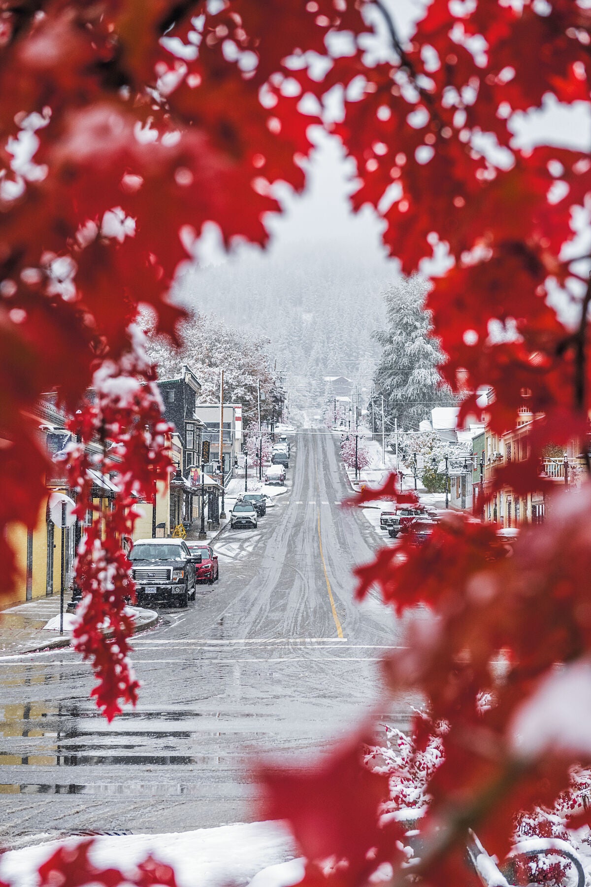 The first snowfall of the winter arrives in downtown Rossland, in British Columbia's West Kootenay Region, with bright red maple leaves visible, Kootenay fine art photography by Ashley Voykin