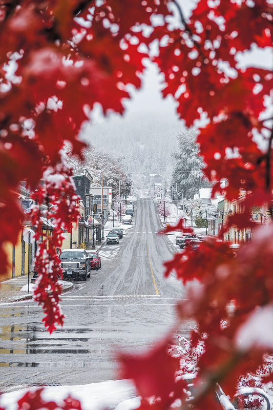 The first snowfall of the winter arrives in downtown Rossland, in British Columbia's West Kootenay Region, with bright red maple leaves visible, Kootenay fine art photography by Ashley Voykin