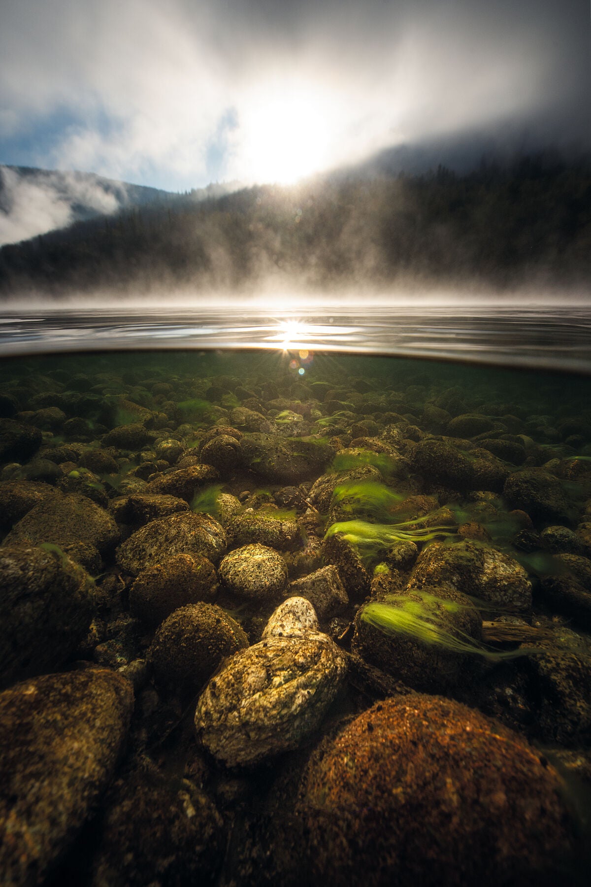 Underwater view of the Columbia River in Genelle, British Columbia. Captured by photographer Ashley Voykin in the West Kootenays.