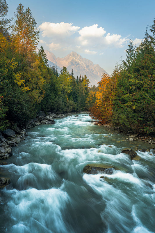 A fall landscape image of Glacier Creek in the Purcell Mountains of British Columbia, Kootenay fine art photography by Ashley Voykin