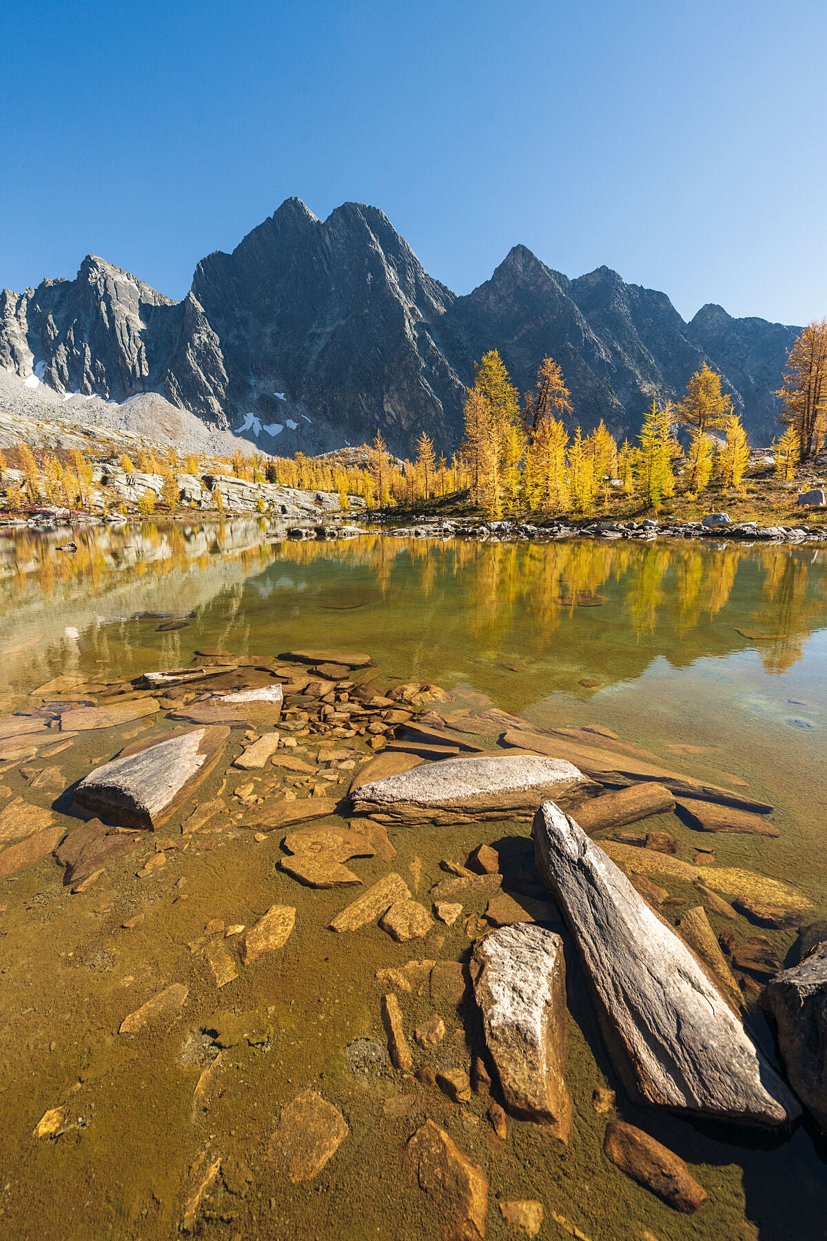 An autumn image of larch trees reflected into an alpine lake at Monica Meadows in the Purcell Mountains, West Kootenay fine art photography by Ashley Voykin