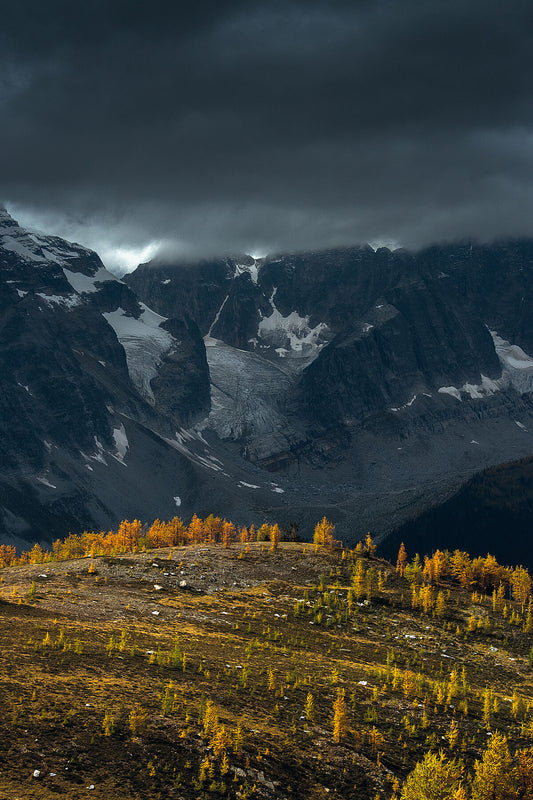 A gloomy day at Monica Meadows during Larch Season, in the Purcell Mountain's of British Columbia, landscape photography by Ashley Voykin.
