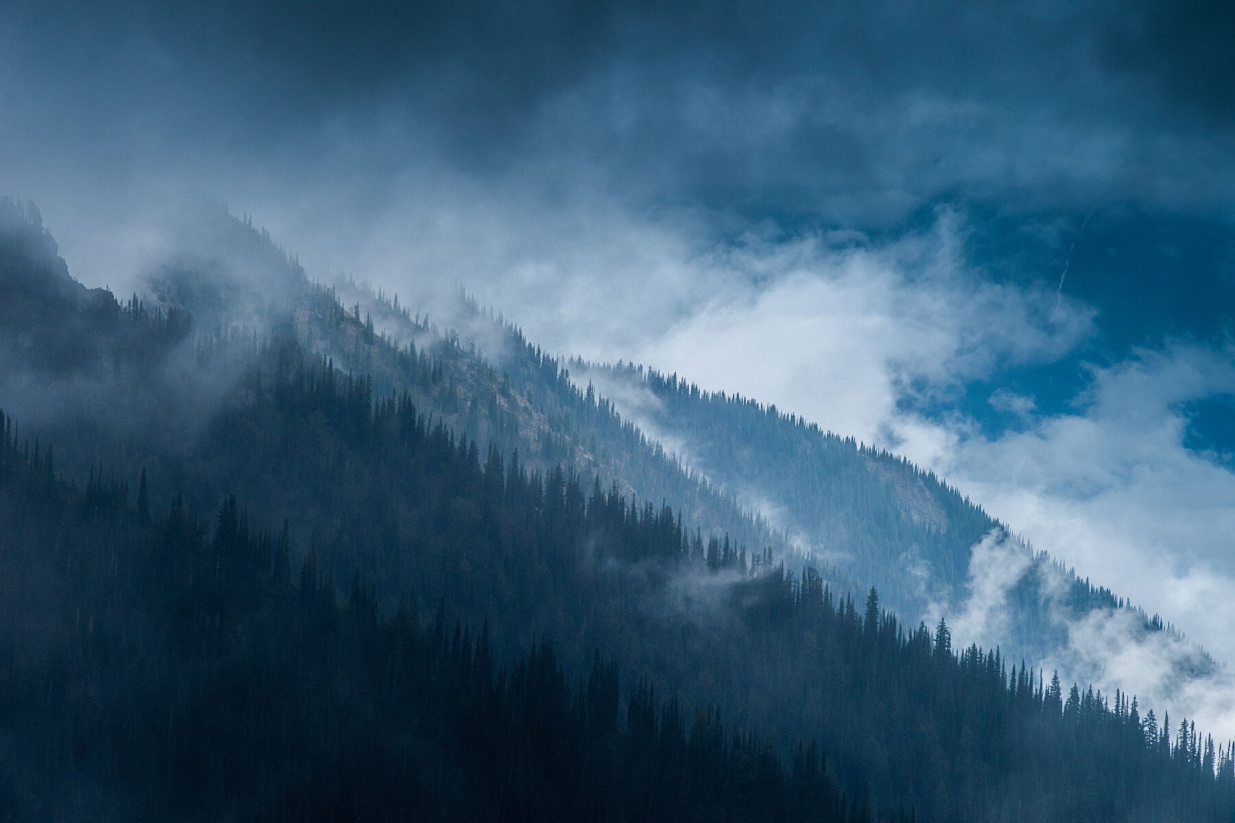 A photograph featuring a cloudy mountainside with tree-covered slopes and a clear blue sky overhead, taken in Goat Range Provincial Park. Fine art landscape photograph by Ashley Voykin