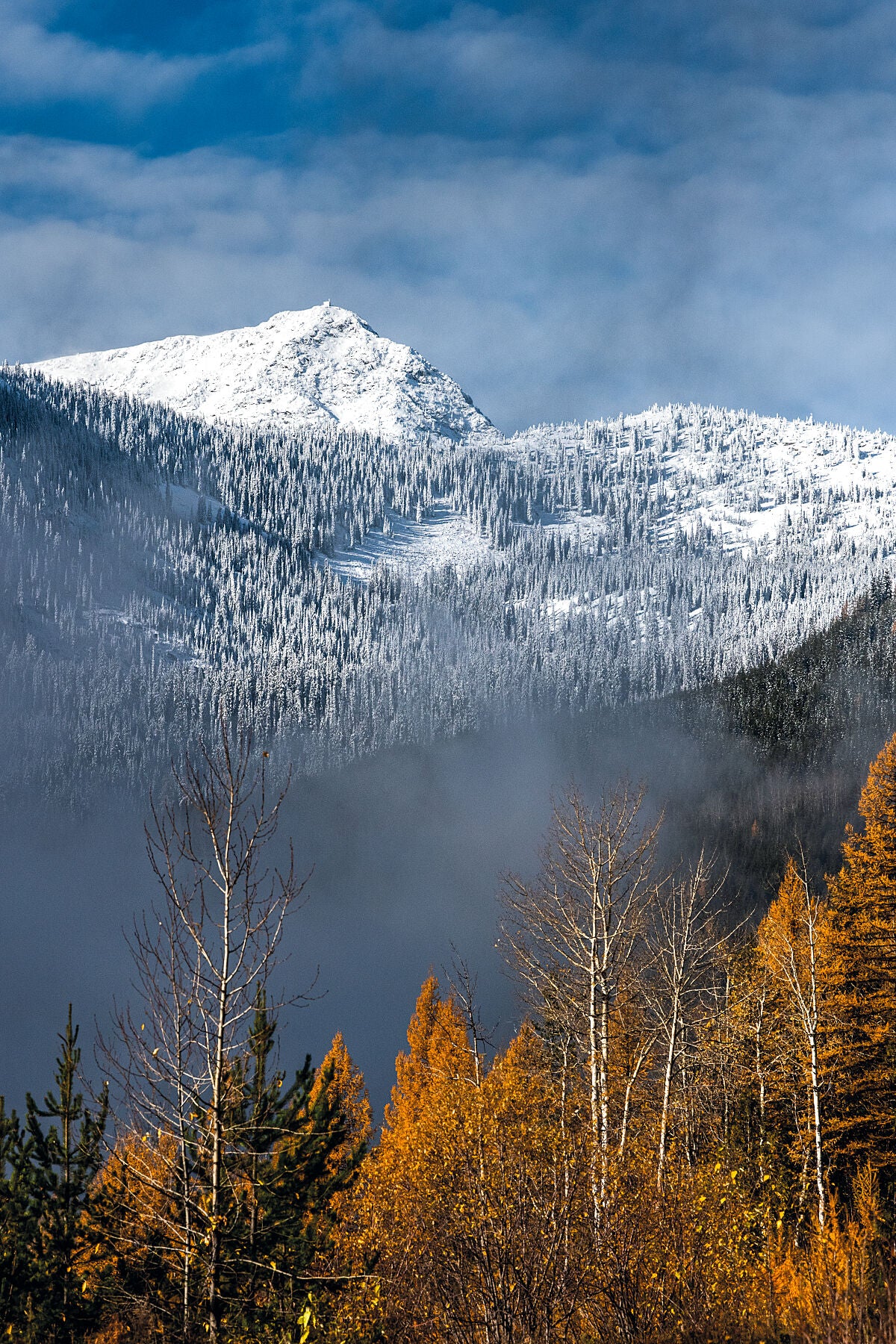 A scenic view of a snow-covered mountain peak, Old Glory, with a misty foreground and autumn-colored trees in the foreground, Kootenay fine art photography by Ashley Voykin