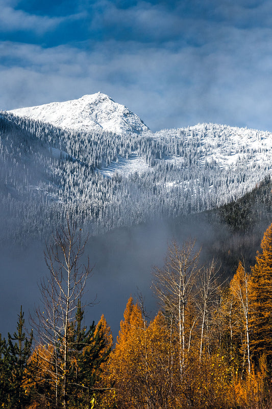 A scenic view of a snow-covered mountain peak, Old Glory, with a misty foreground and autumn-colored trees in the foreground, Kootenay fine art photography by Ashley Voykin