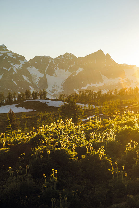 A summer sunset in the Purcell Mountains, at Monica Meadows, Kootenay fine art photography by Ashley Voykin