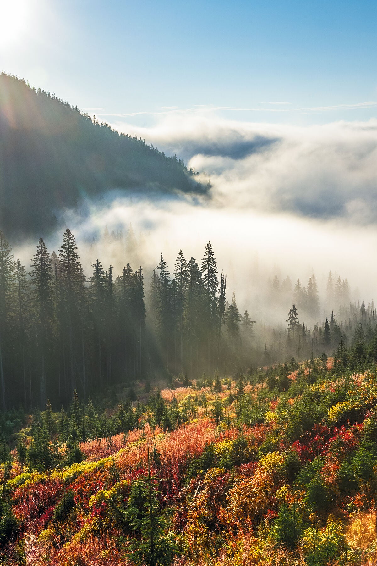 Autumn sunrise at Strawberry Pass near Rossland, British Columbia, West Kootenay fine art photography by Ashley Voykin