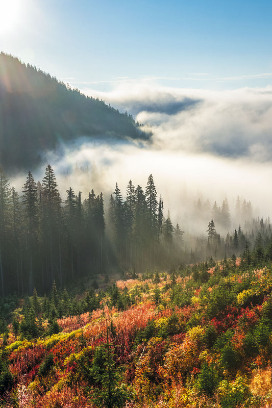 Autumn sunrise at Strawberry Pass near Rossland, British Columbia, West Kootenay fine art photography by Ashley Voykin