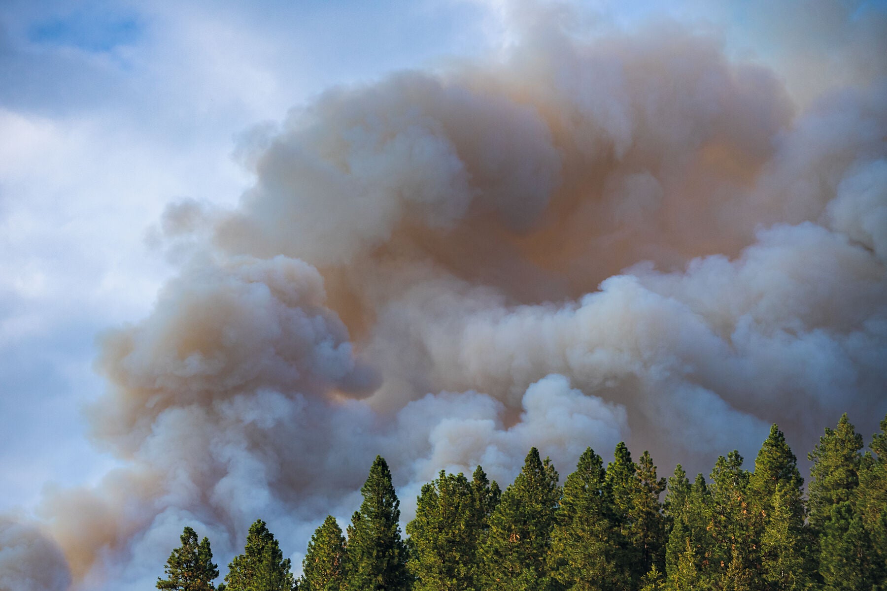 A dense plume of smoke rising up from the Syringa Creek Wildfire near Castlegar British Columbia, environment fine art landscape photography by Ashley Voykin